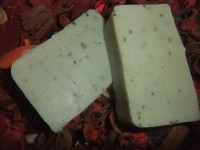 /album/fotogaleria-terminos-y-condiciones/jabon-de-laurel-jpg1/